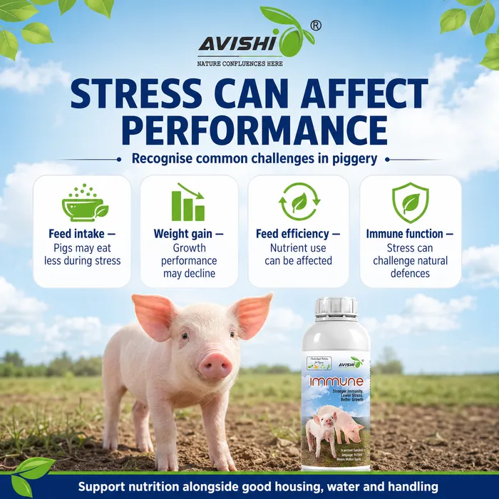 AVISHI IMMUNE