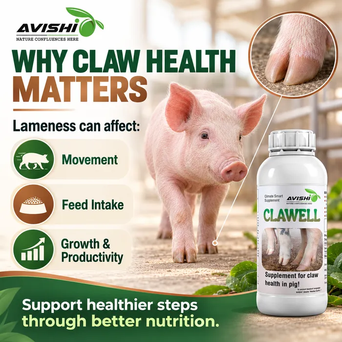 AVISHI CLAWELL