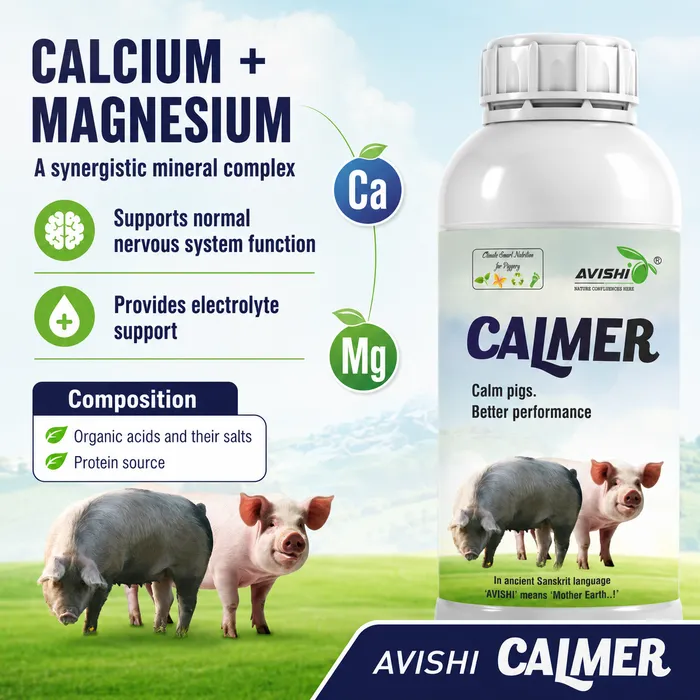 AVISHI CALMER