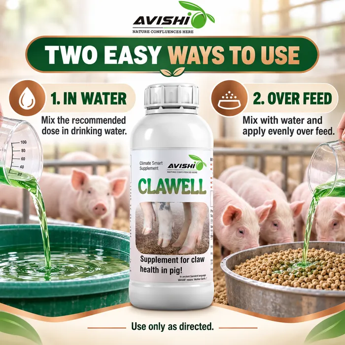 AVISHI CLAWELL