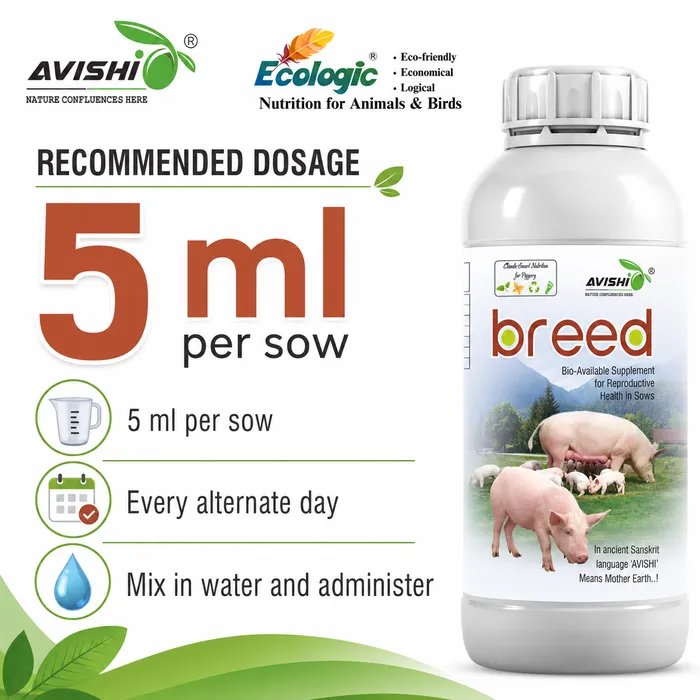 AVISHI BREED