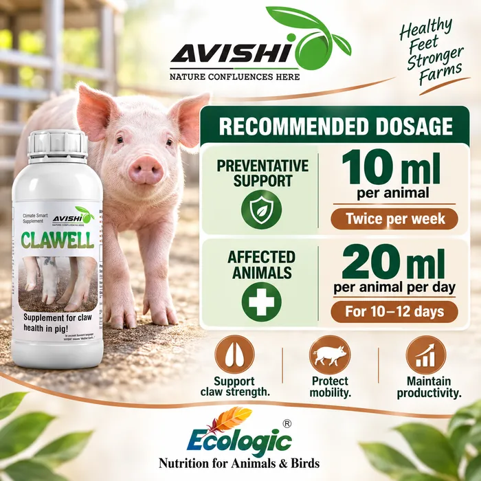 AVISHI CLAWELL