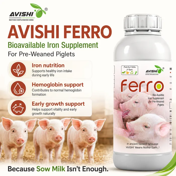 AVISHI FERRO