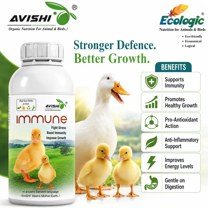 AVISHI IMMUNE