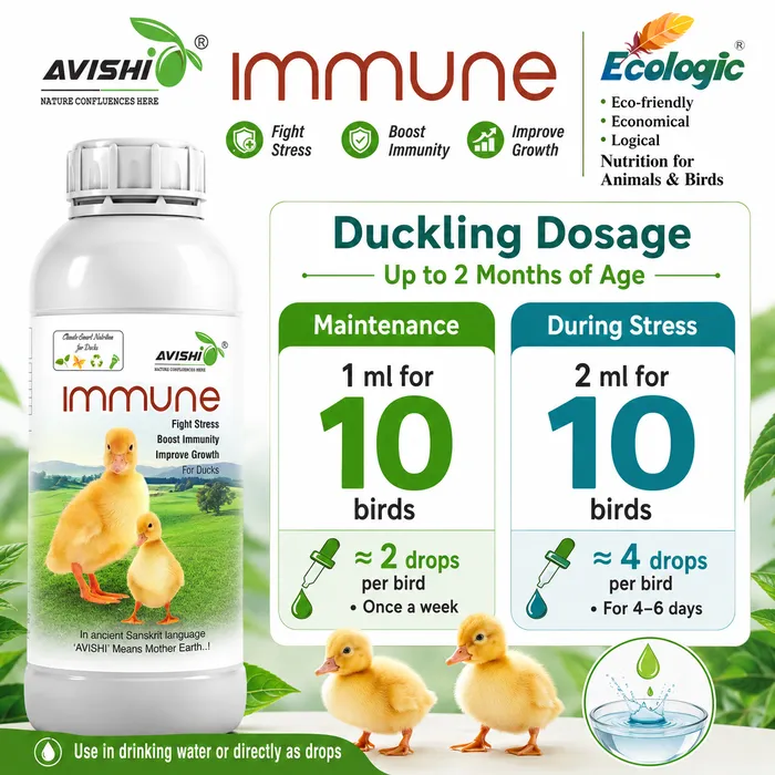 AVISHI IMMUNE
