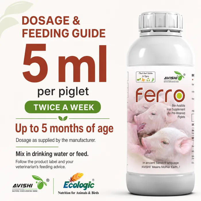 AVISHI FERRO
