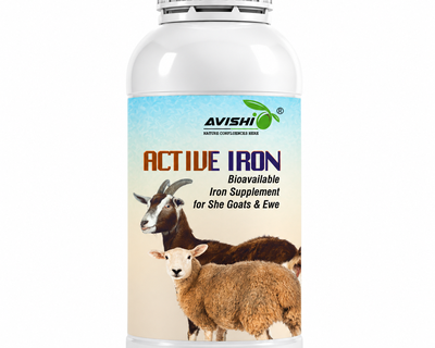 AVISHI ACTIVE IRON