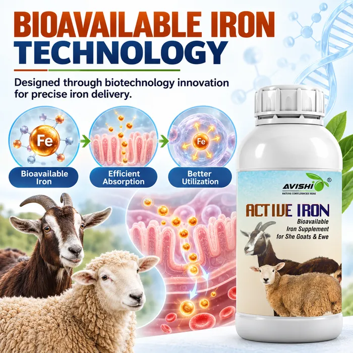 AVISHI ACTIVE IRON
