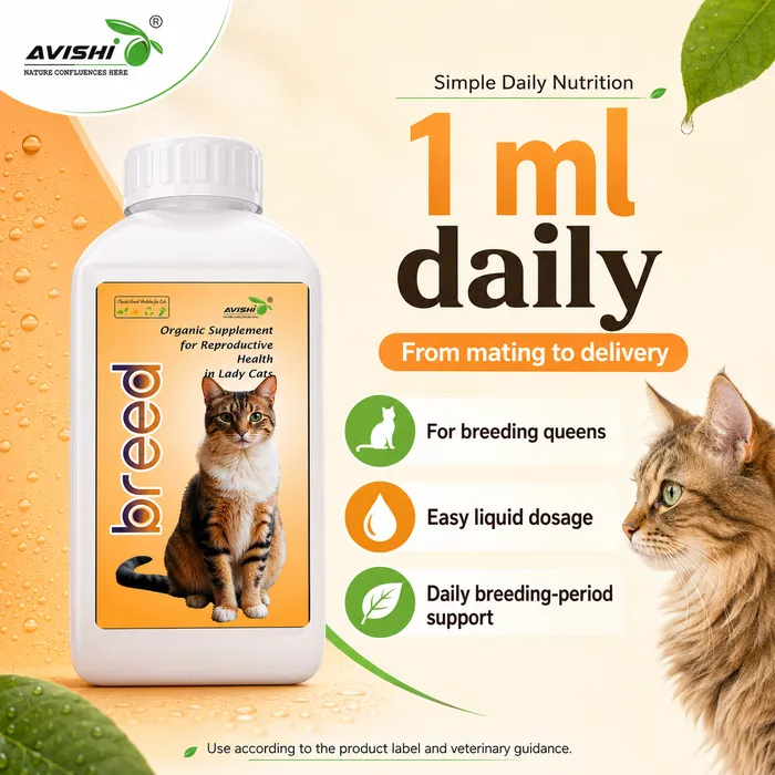 AVISHI BREED