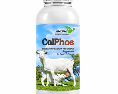 AVISHI CALPHOS
