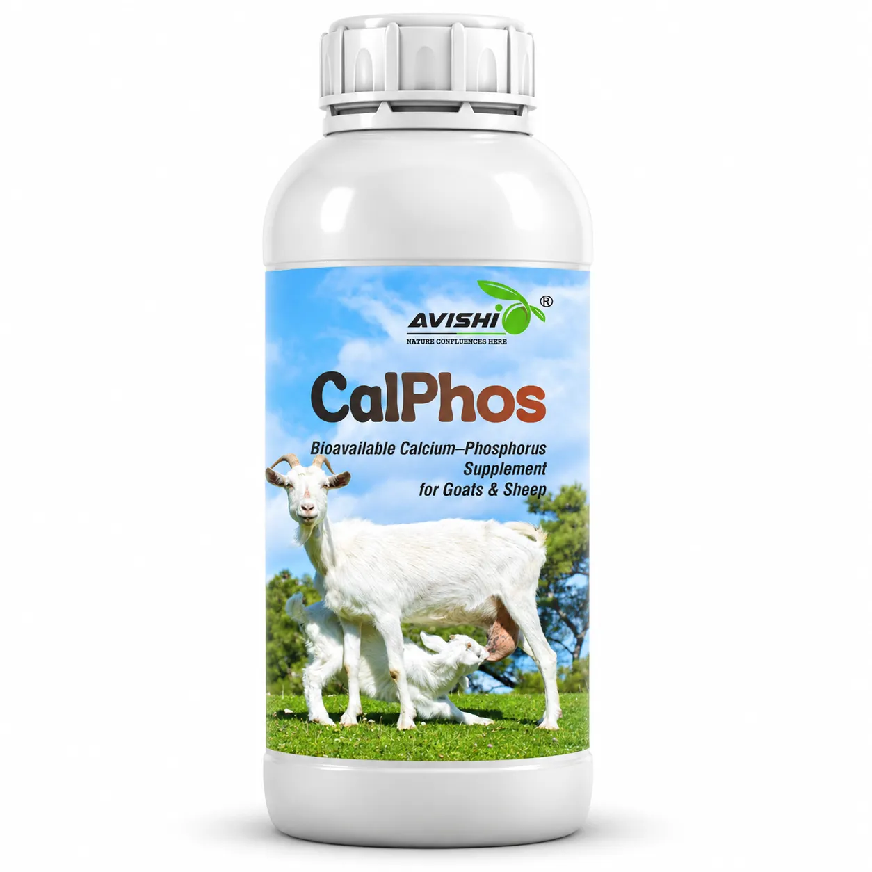 AVISHI CALPHOS
