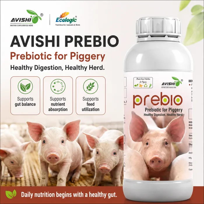 AVISHI PREBIO