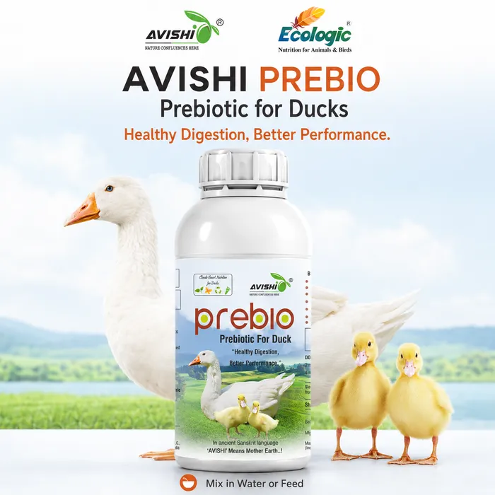 AVISHI PREBIO