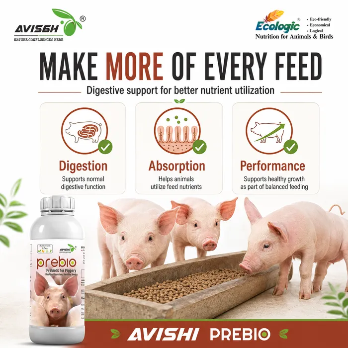 AVISHI PREBIO