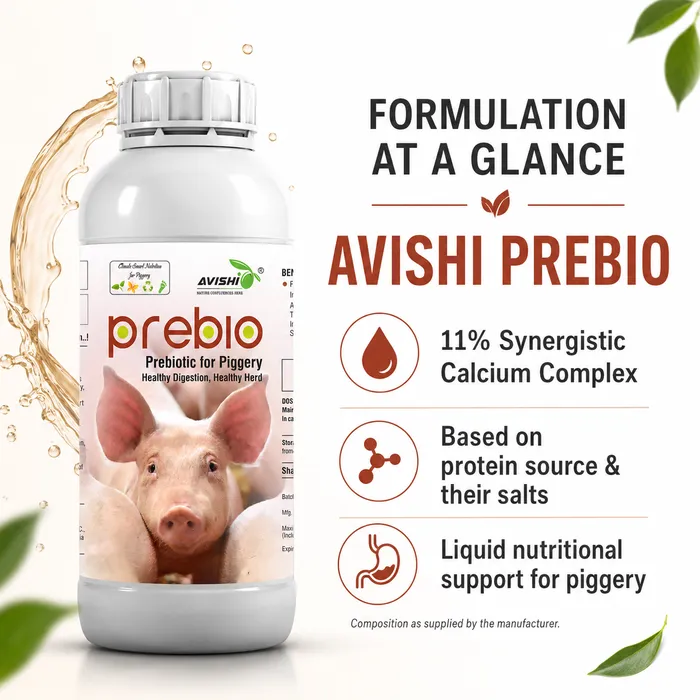 AVISHI PREBIO