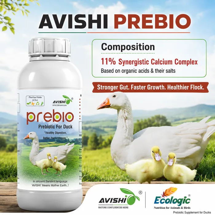 AVISHI PREBIO