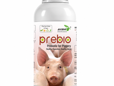 AVISHI PREBIO