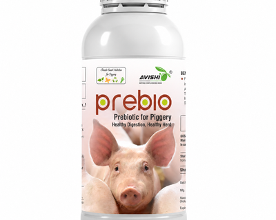 AVISHI PREBIO