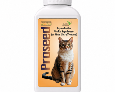 AVISHI PROSEED