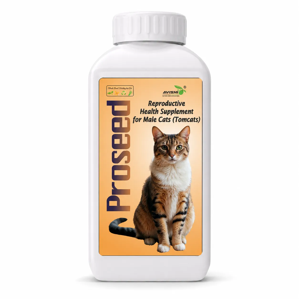 AVISHI PROSEED