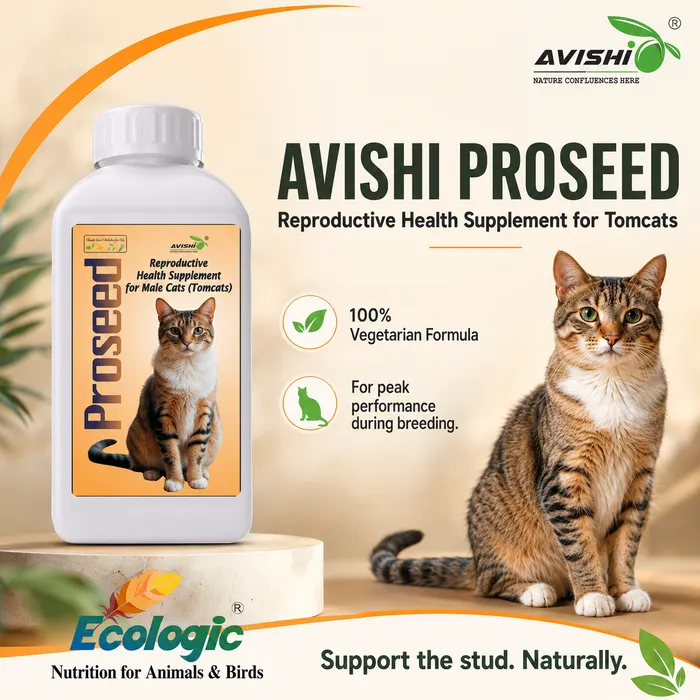AVISHI PROSEED