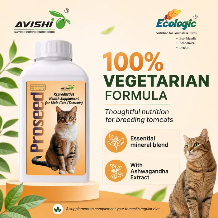 AVISHI PROSEED