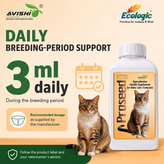 AVISHI PROSEED