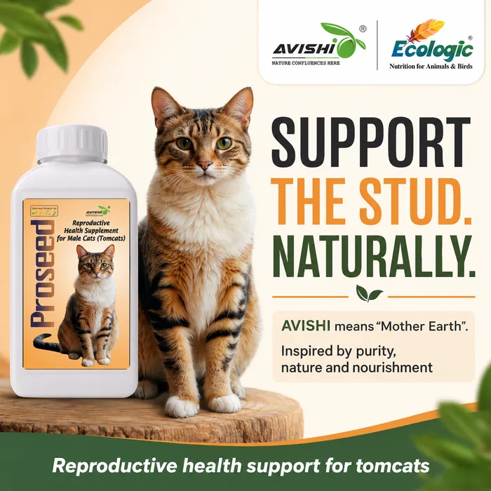 AVISHI PROSEED