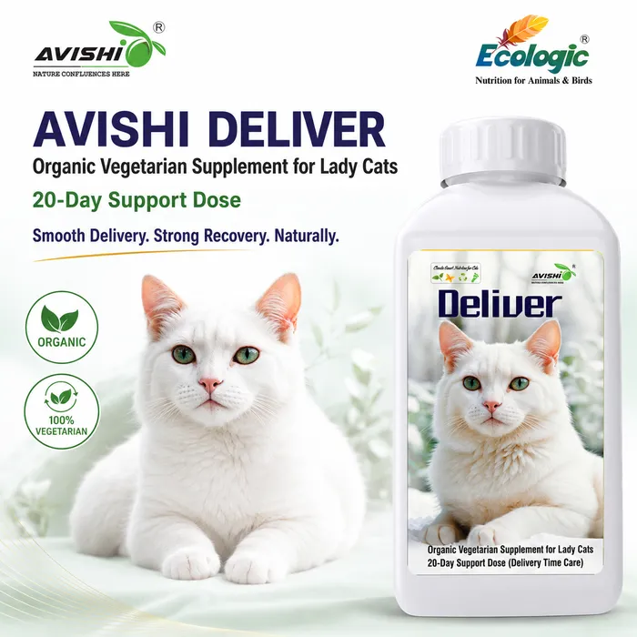 AVISHI DELIVER