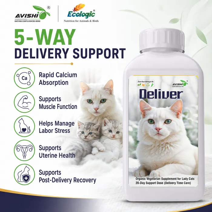 AVISHI DELIVER