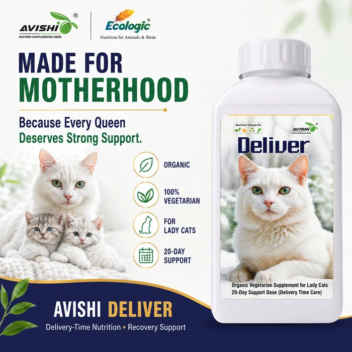 AVISHI DELIVER