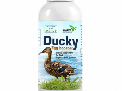 AVISHI DUCKY