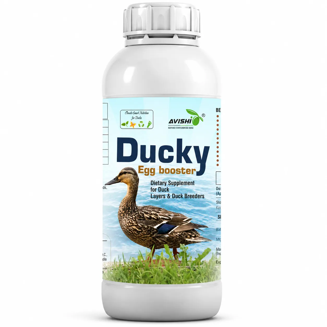 AVISHI DUCKY