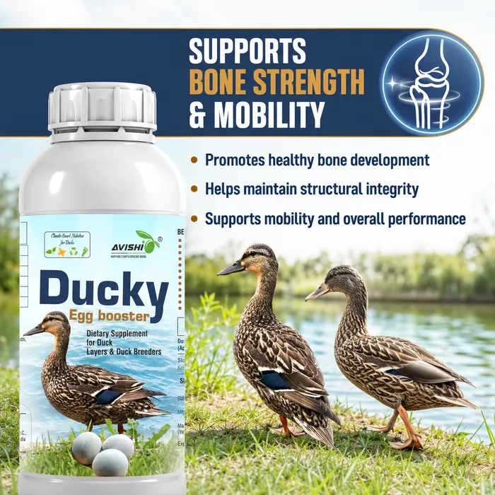 AVISHI DUCKY