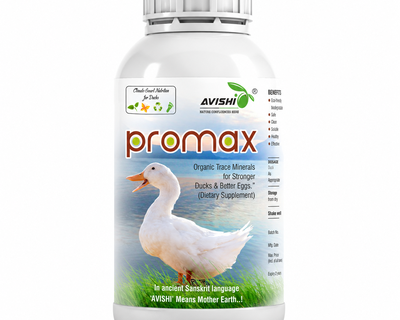 AVISHI PROMAX