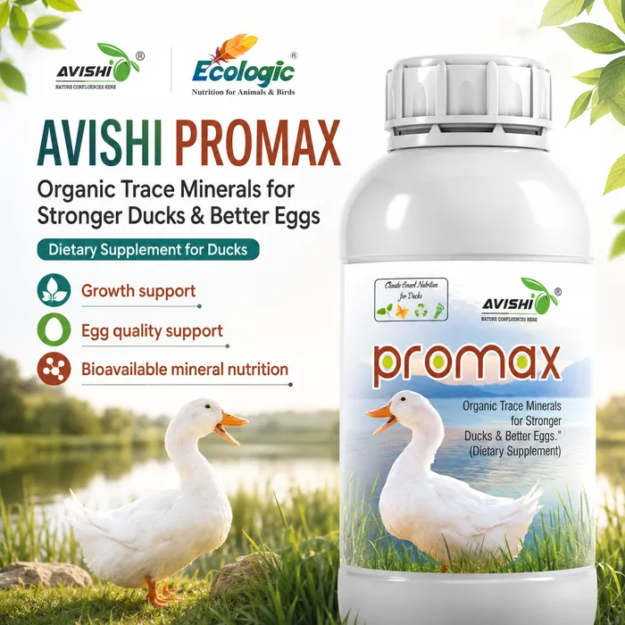 AVISHI PROMAX
