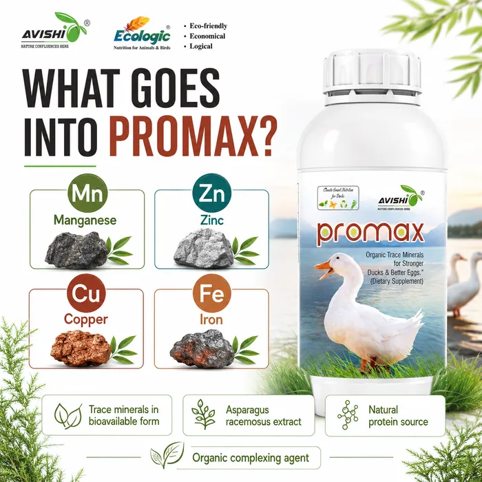 AVISHI PROMAX
