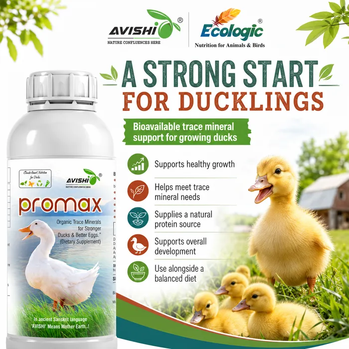AVISHI PROMAX