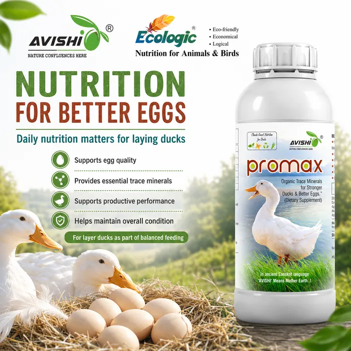 AVISHI PROMAX