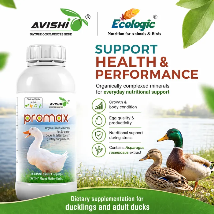 AVISHI PROMAX