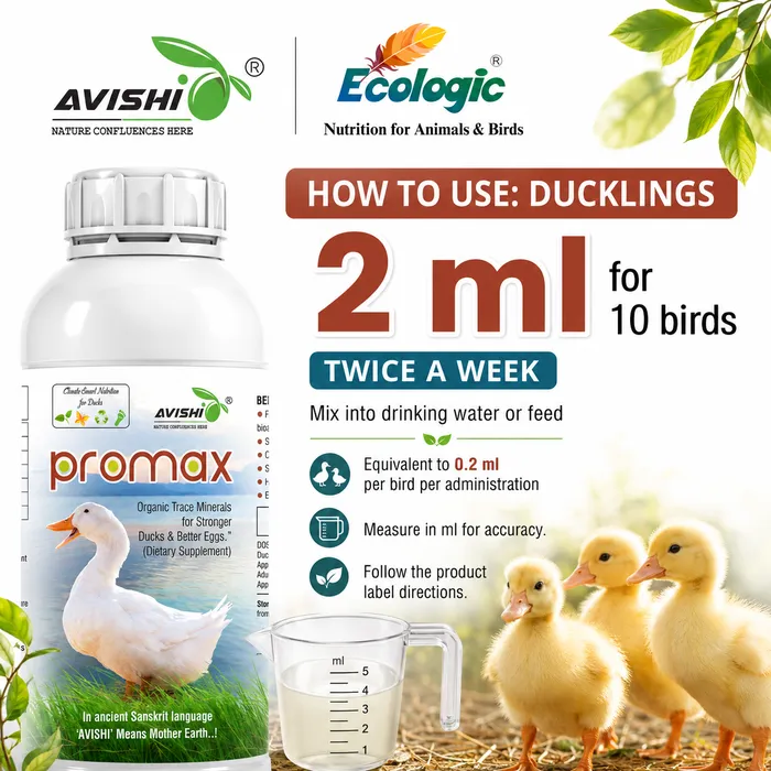 AVISHI PROMAX