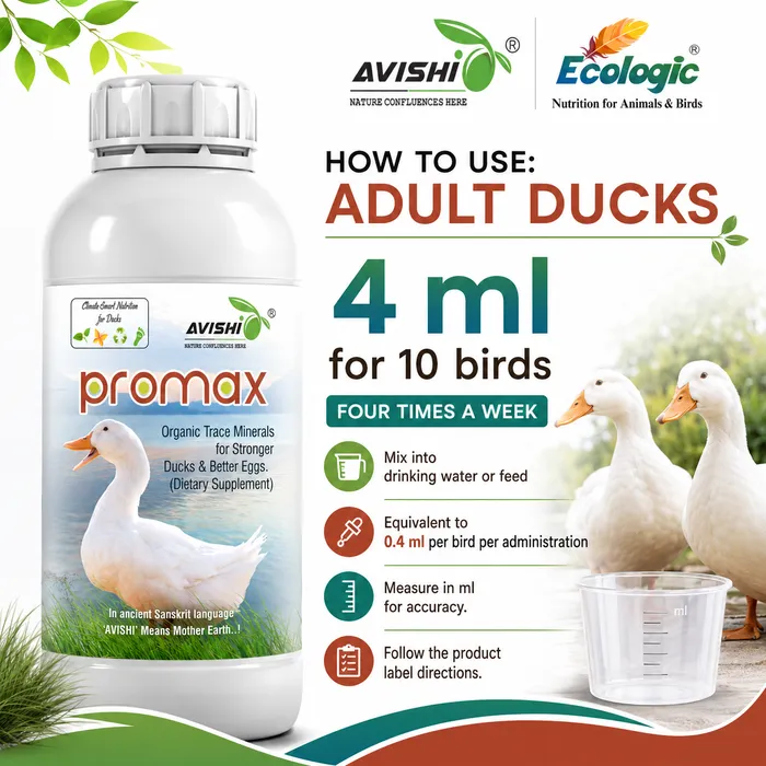 AVISHI PROMAX