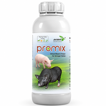 AVISHI PROMIX