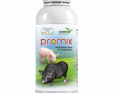 AVISHI PROMIX