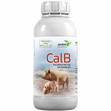 AVISHI CalB