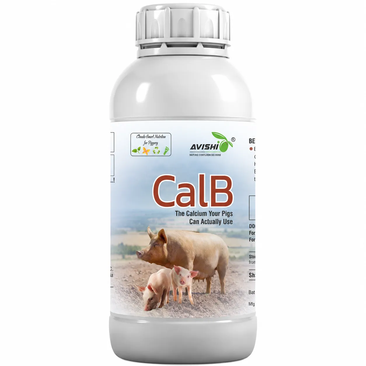 AVISHI CalB