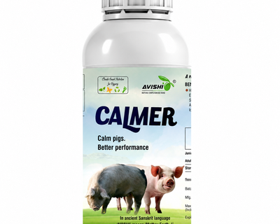 AVISHI CALMER