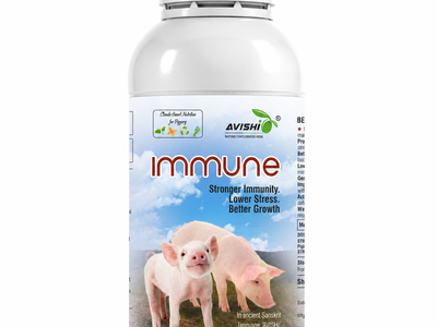 AVISHI IMMUNE