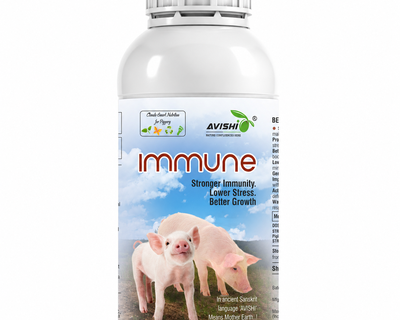 AVISHI IMMUNE