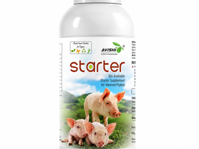AVISHI STARTER